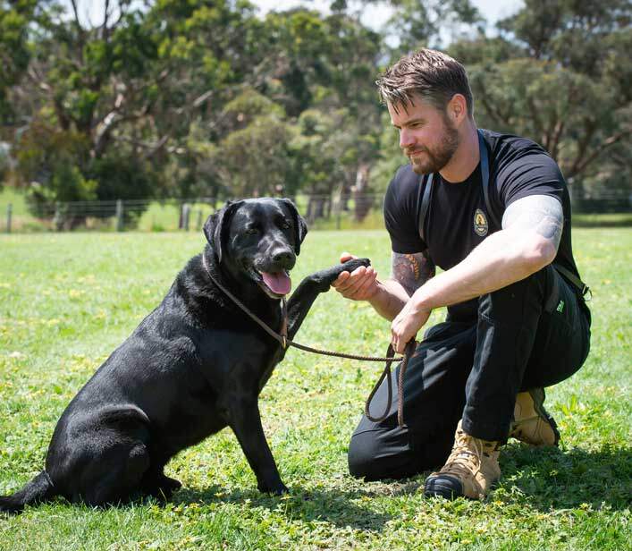 Craig is the founder of Direct K9 Services and leads up the Melbourne Training Team with vast experience and qualifications.
