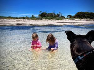 Dogs and kids, how to prepare