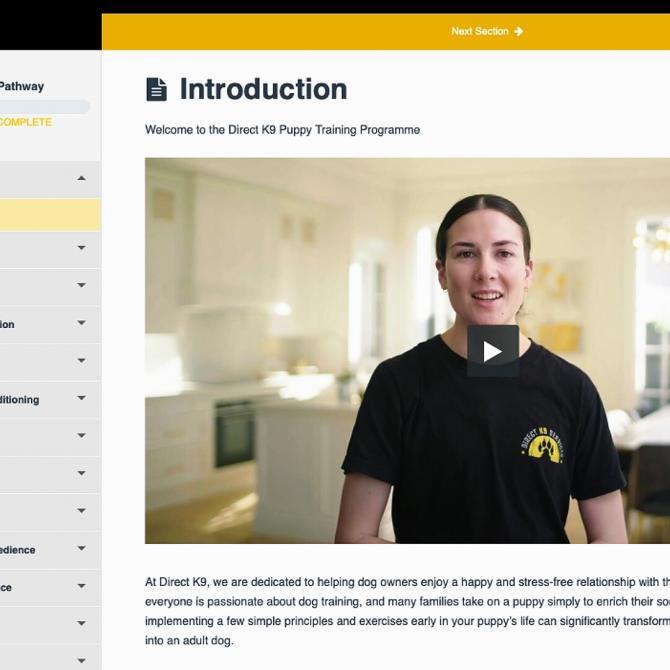 The Puppy Pathway online puppy training programme