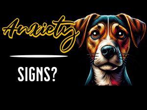 Signs your dog has anxiety