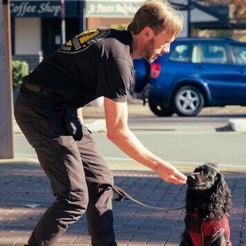 Direct K9 Services Adelaide Dog Training Expert Dave